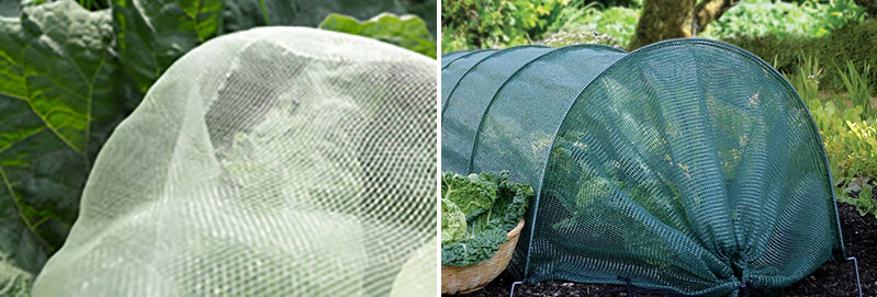 Nät mot insekter i odling